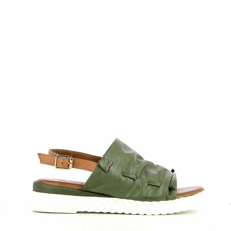 v1463a-olive