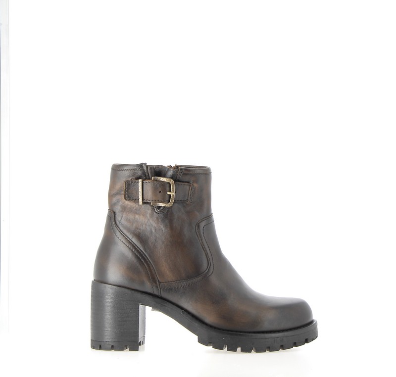 v2637a-camel