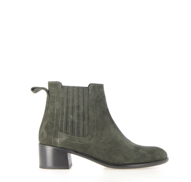 v2591a-foret