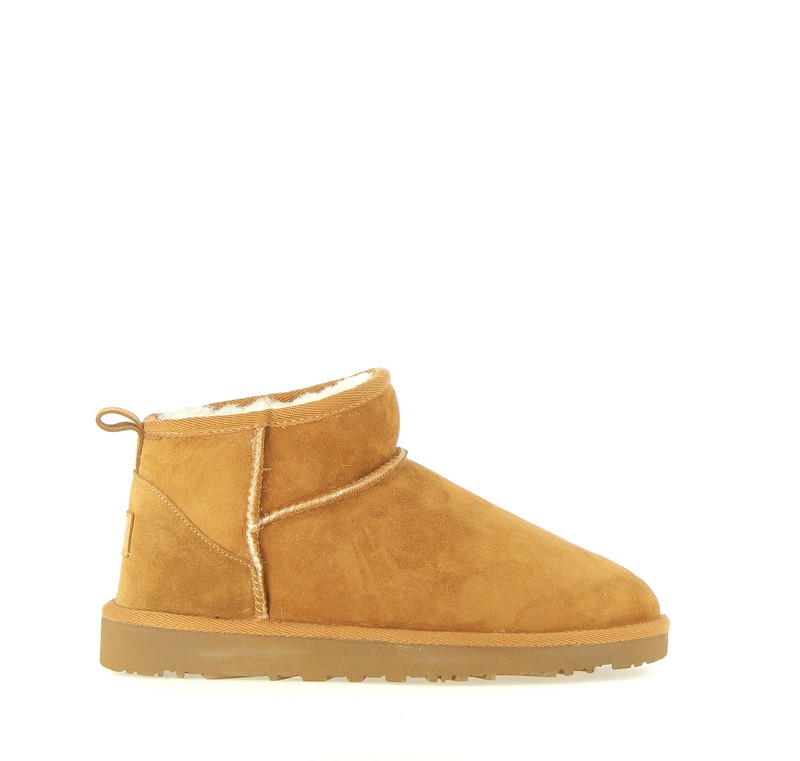 v2542c-cognac