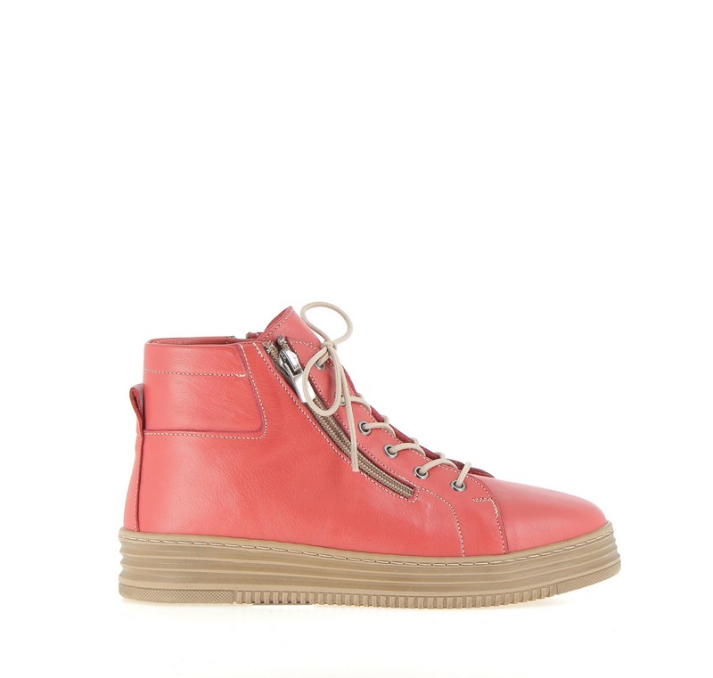 v2555b-cerise