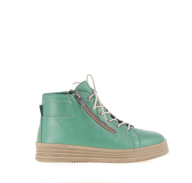 v2555b-herbe