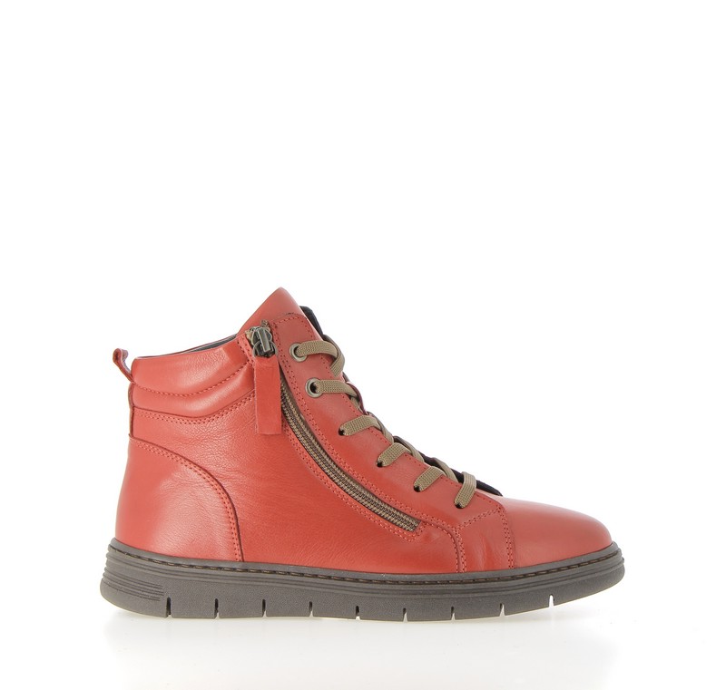 v2571b-rouge