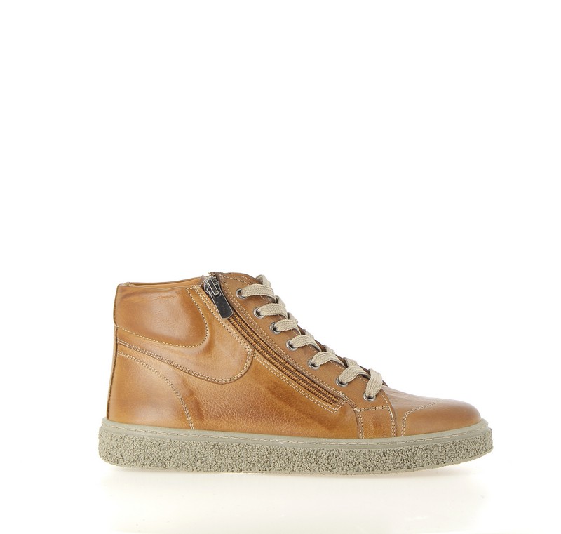 v2622b-coconut