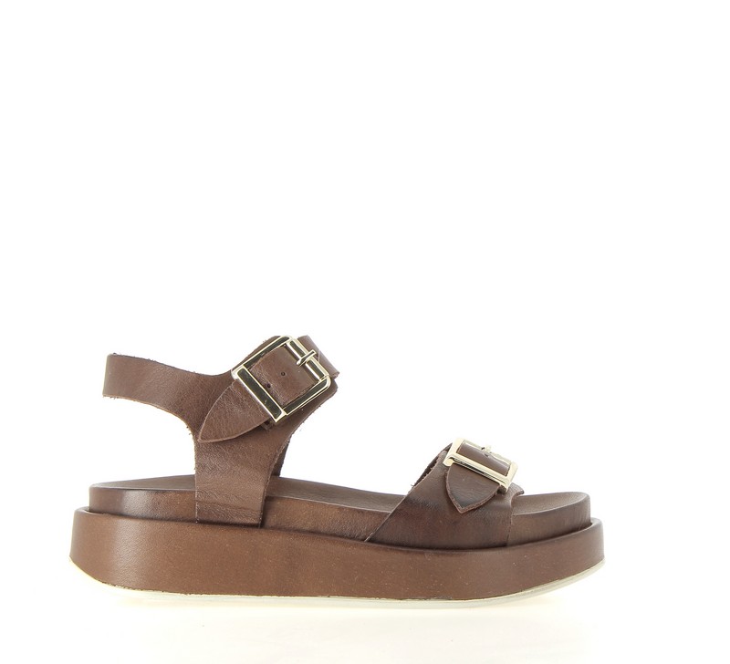 v2663c-chocolat
