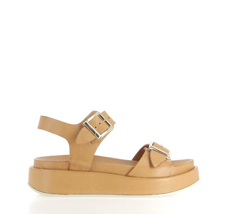 v2663c-coconut