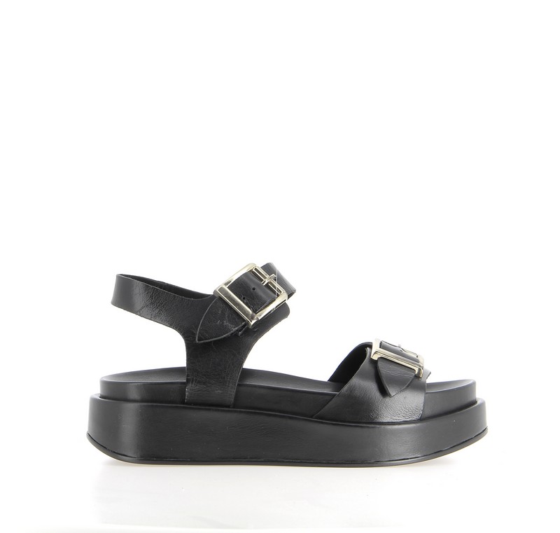 v2663c-noir