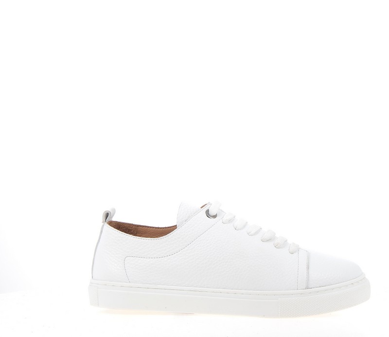 v2669e-blanc