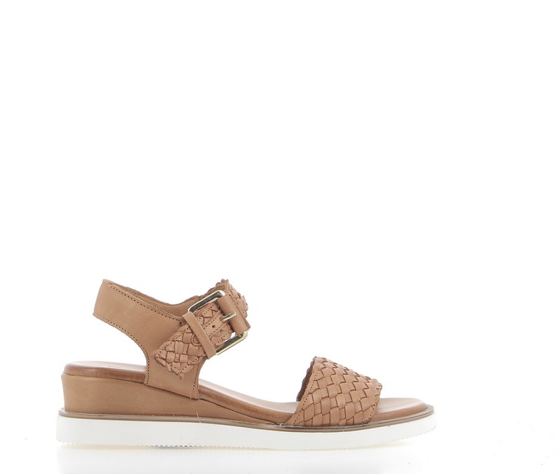 v2690b-coconut