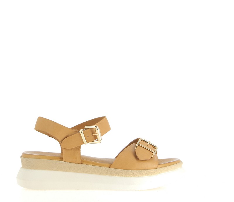 v2694b-coconut