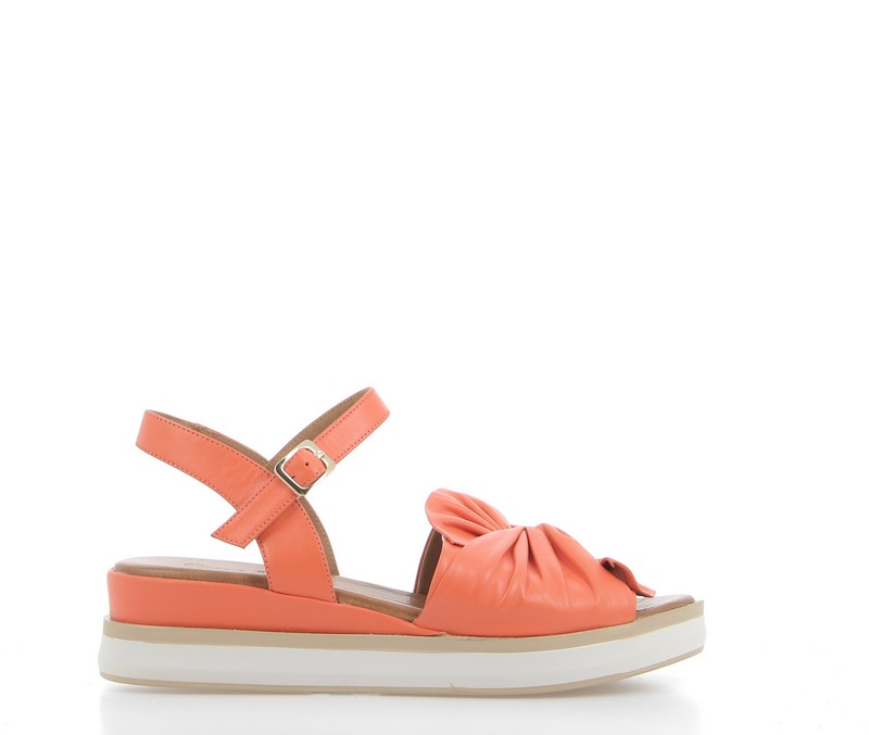 v2705b-corail