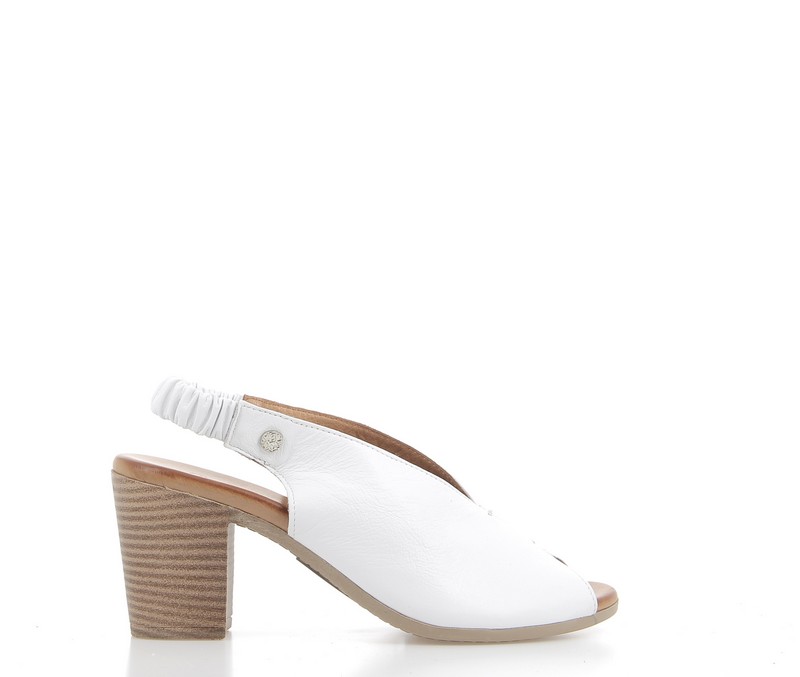 v2731b-blanc