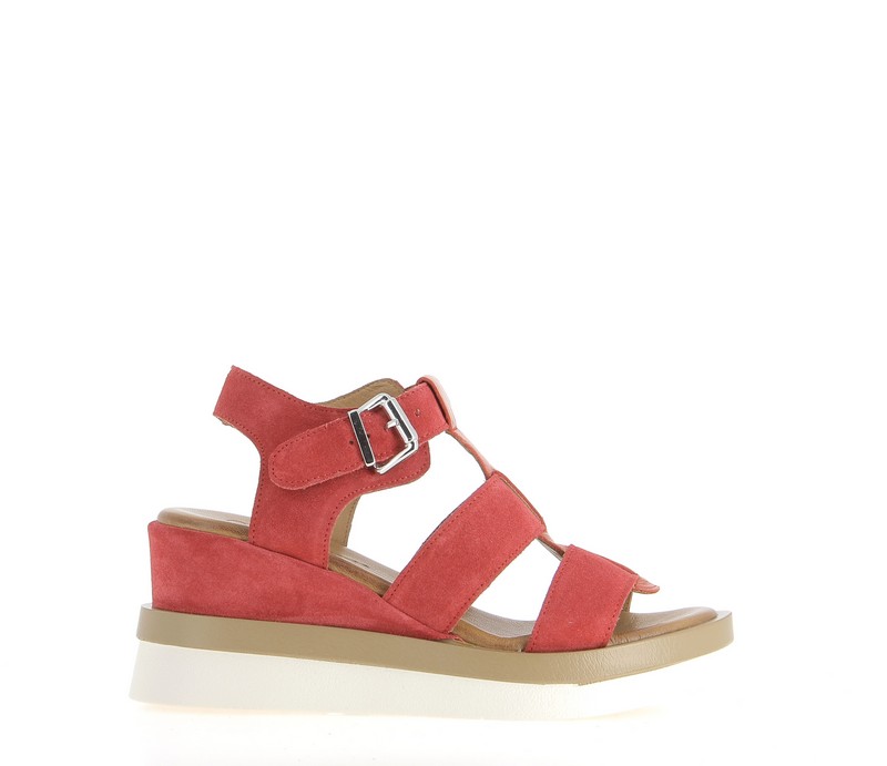 v2742l-rouge