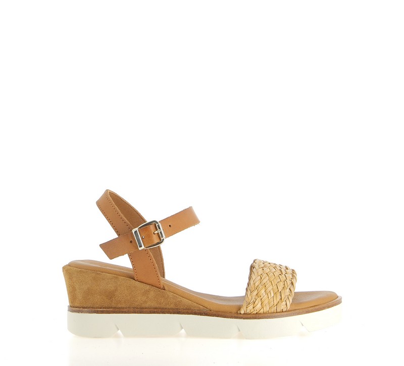 v2768f-camel