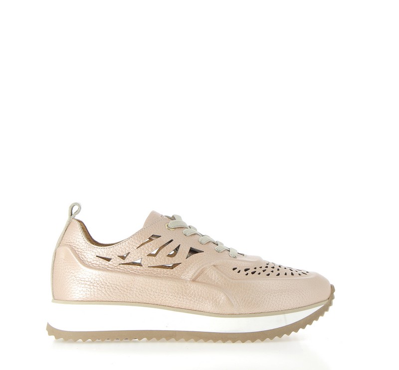 v3000d-rose