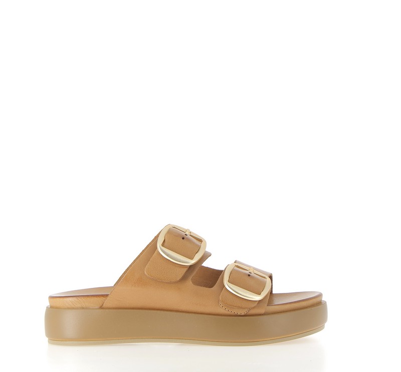 v3009b-coconut