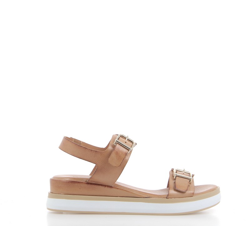 v3010b-coconut
