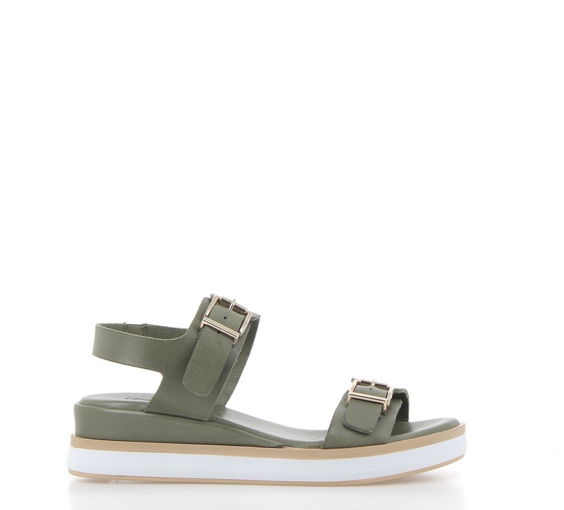 v3010b-olive