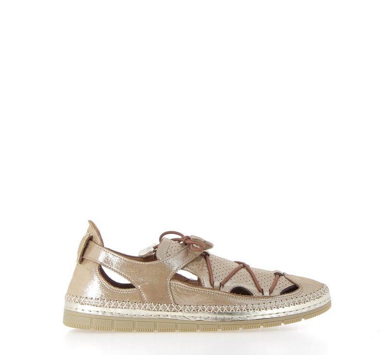 v3016c-camel
