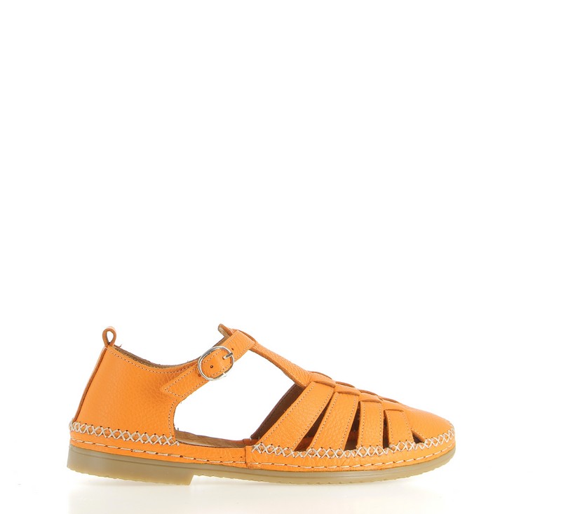 v3018e-orange