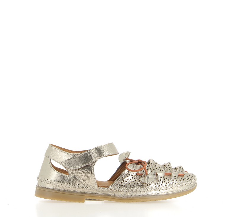 v3029a-champagne