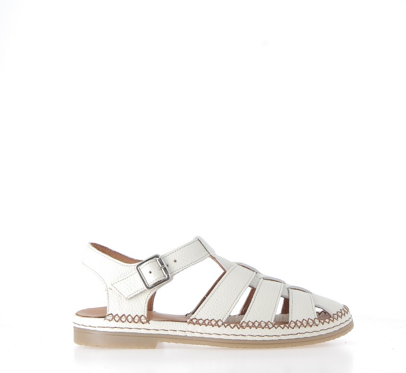 v3031e-creme