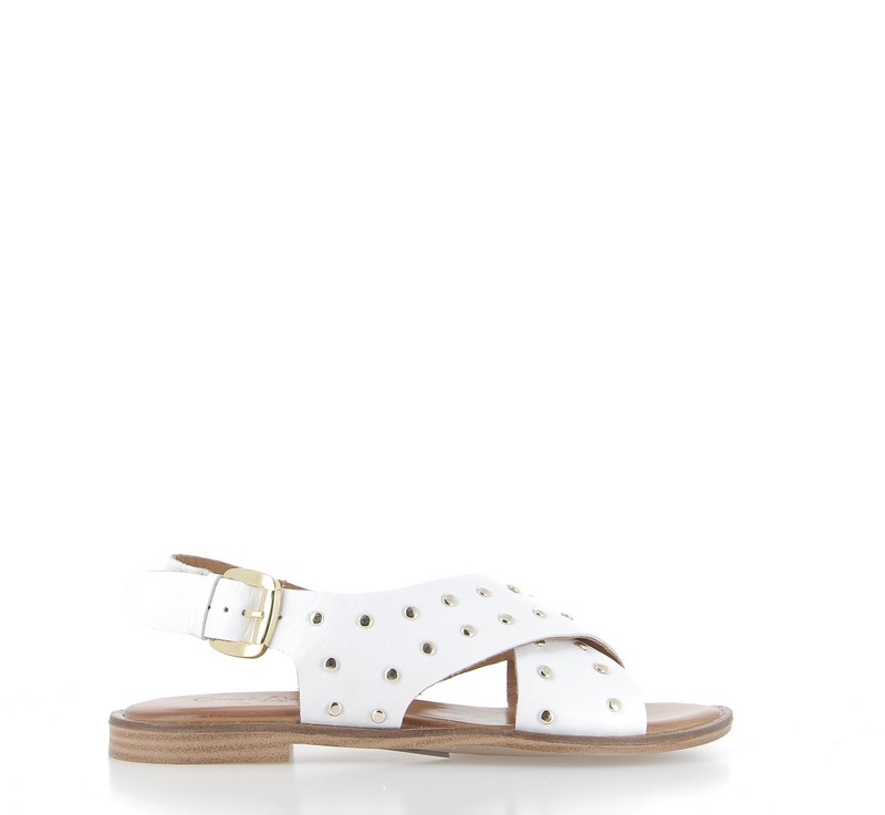 v3044b-blanc