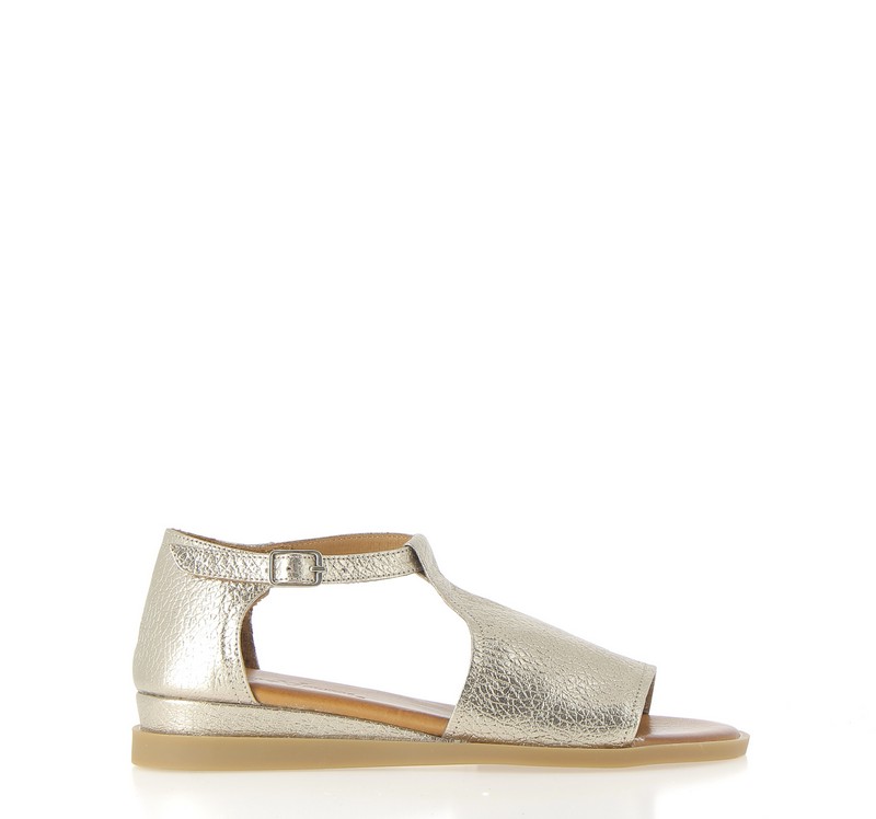 v3054i-champagne