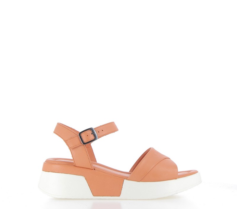 v3055b-coral