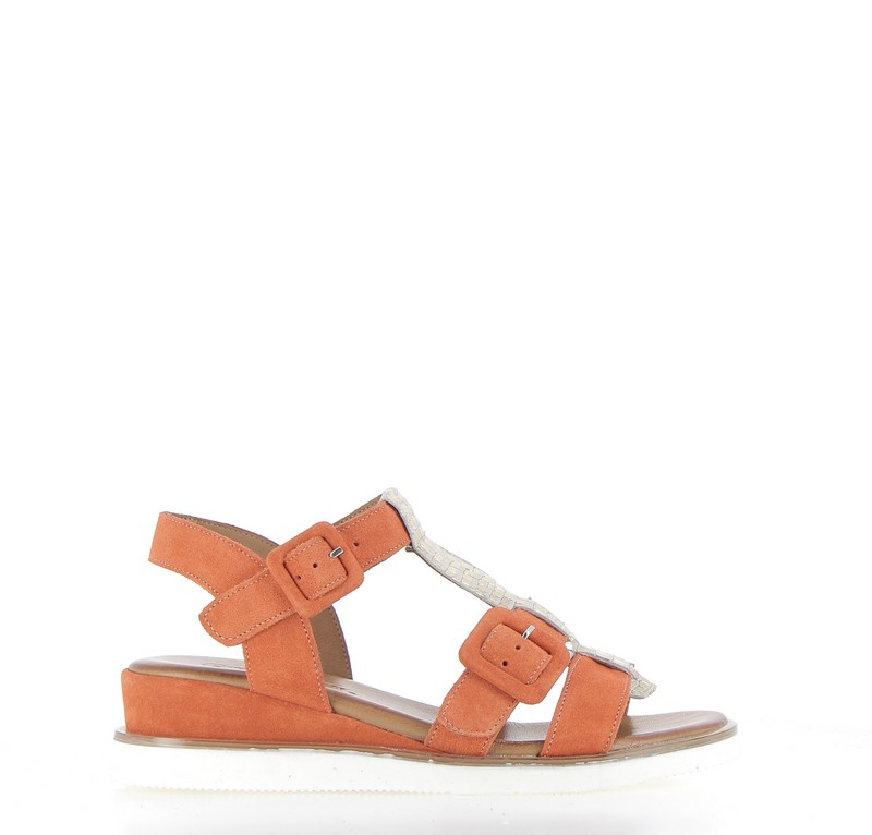 v3058f-orange