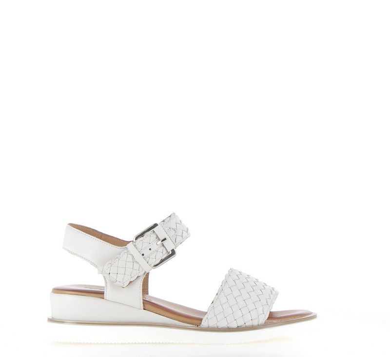 v3059b-creme