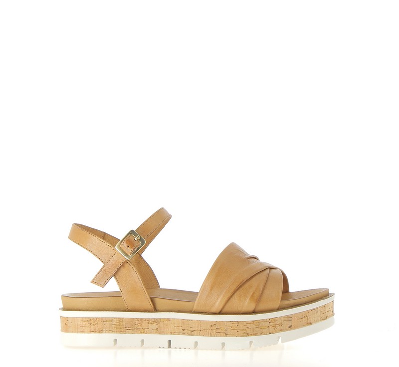 v3065b-coconut