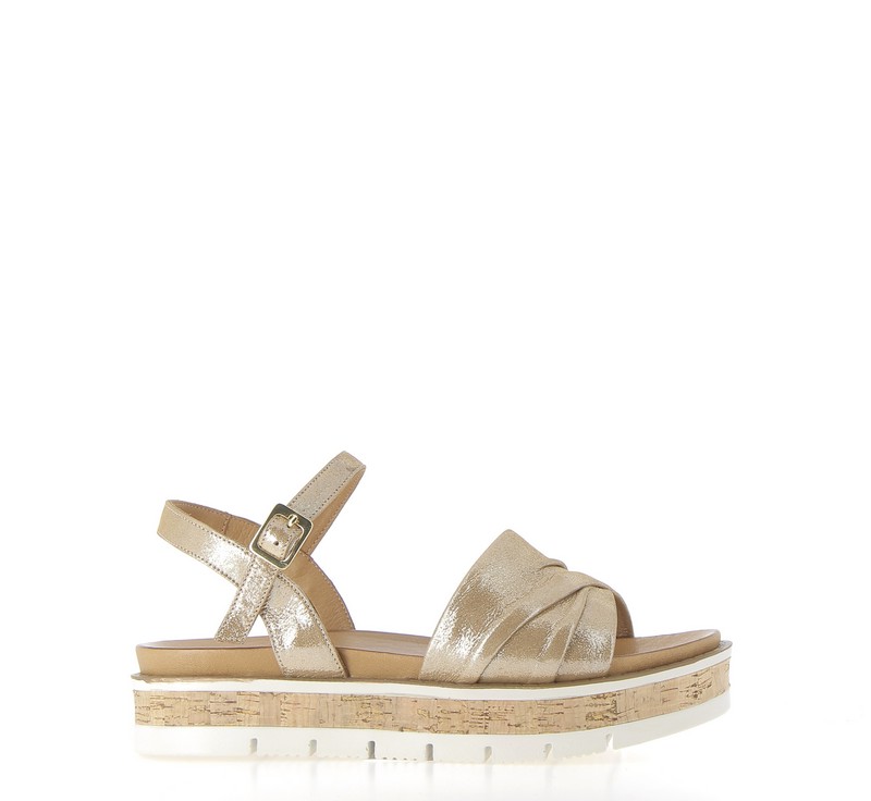 v3065c-camel