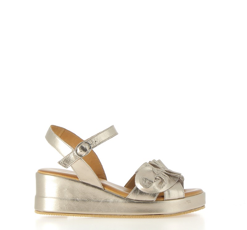 v3071a-champagne
