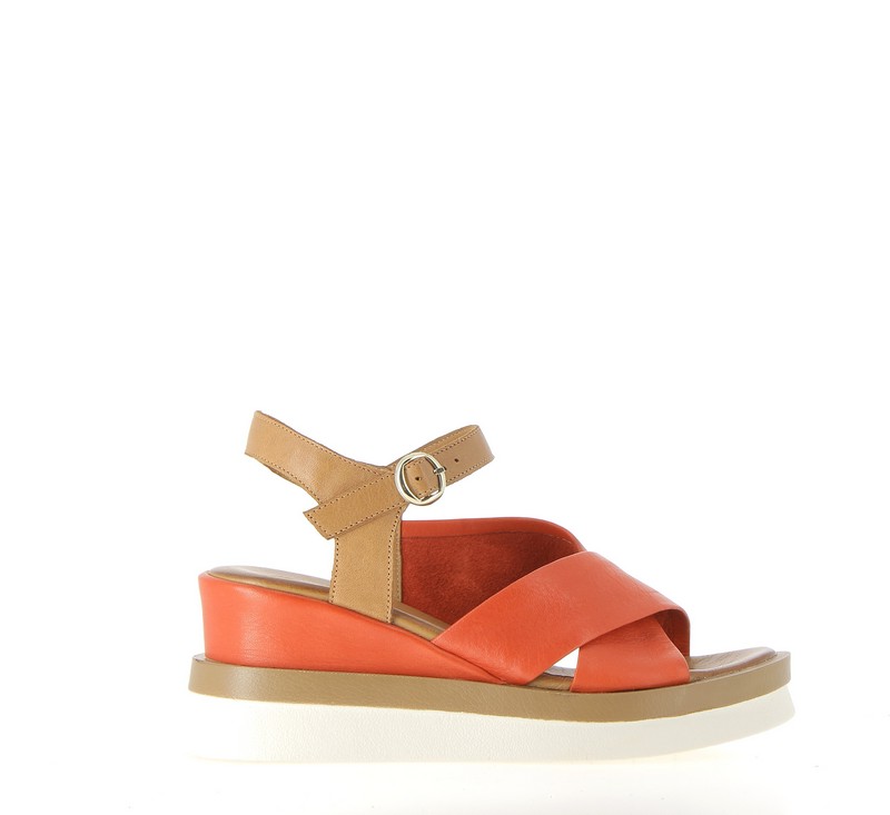 v3073b-corail