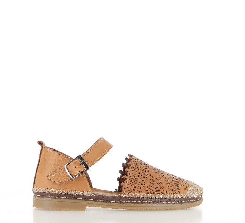 v3094b-coconut