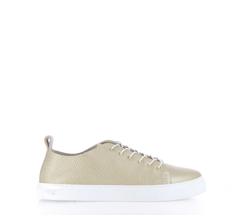 v3104d-champagne