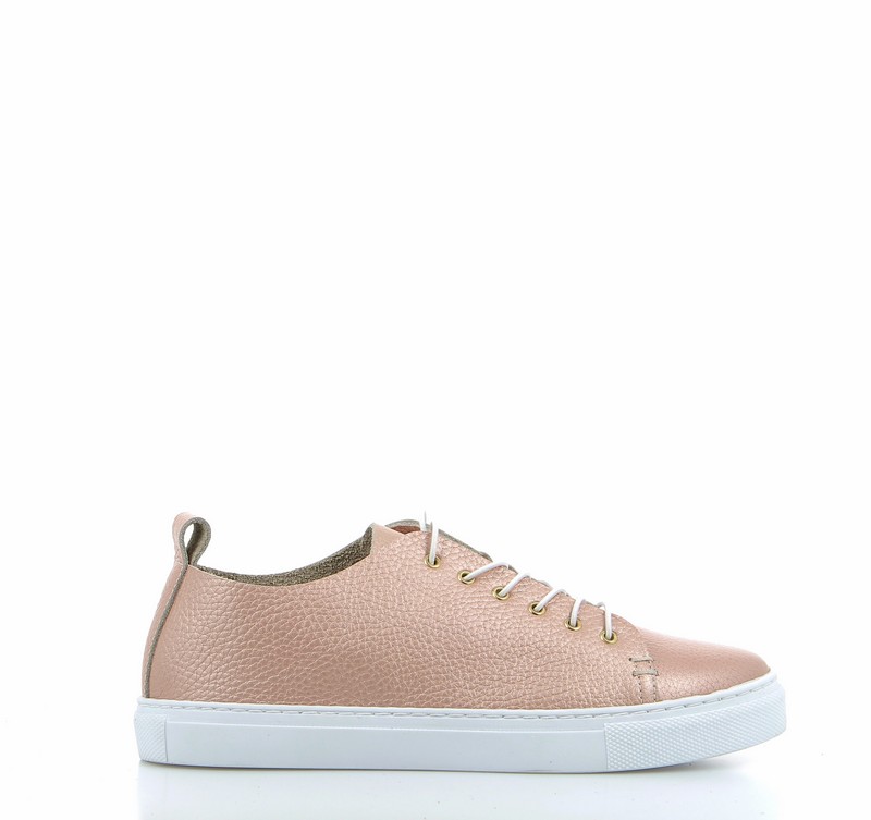 v3104d-rose