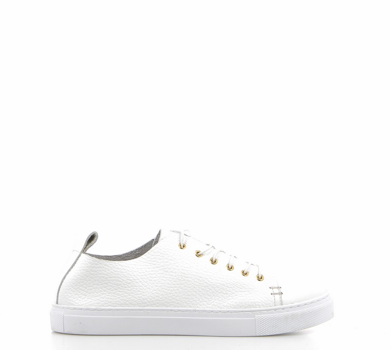 v3104p-offwhite