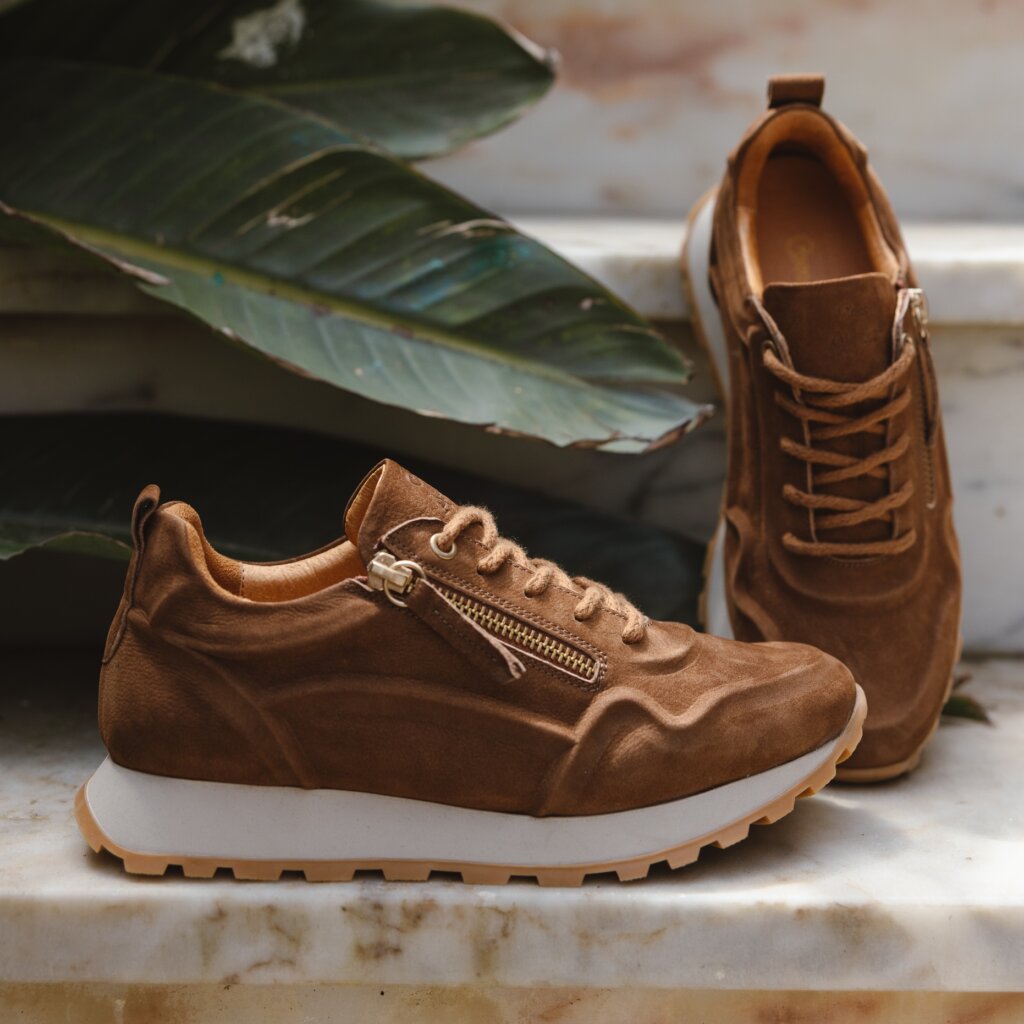 v3170a-cognac