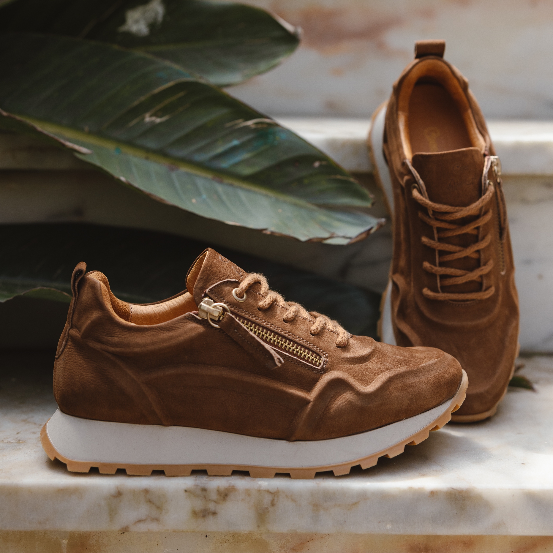 v3170a-cognac