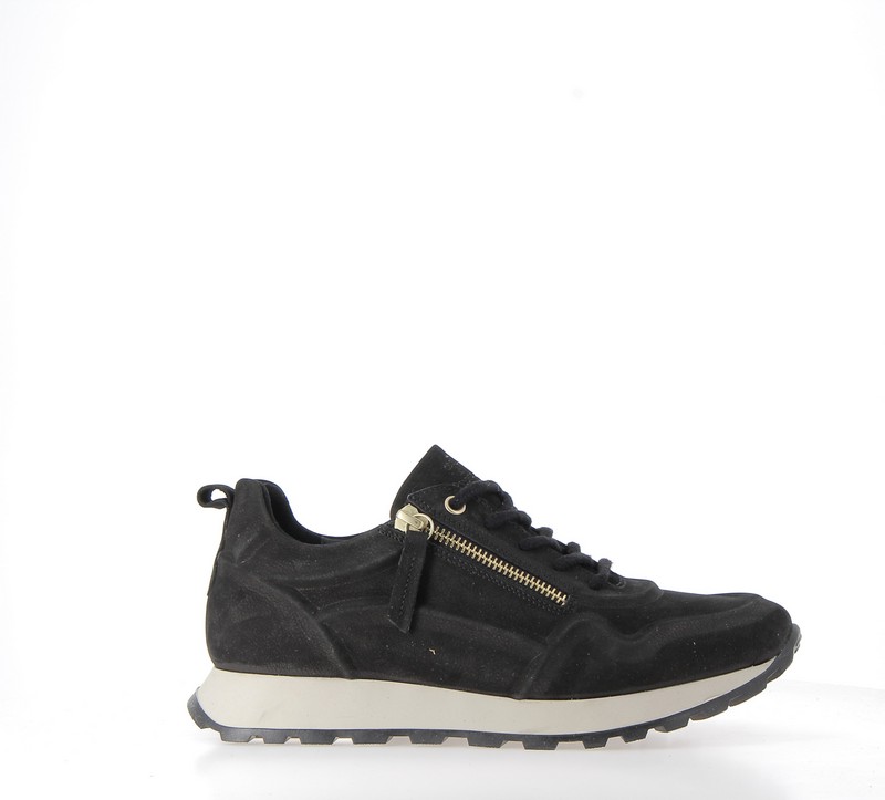 v3170a-noir