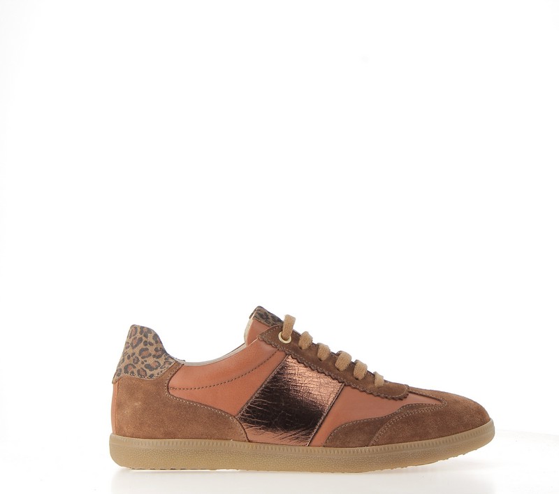 v3178o-cognac