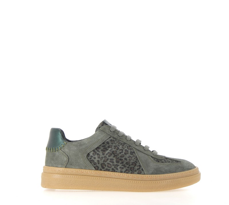 v3179l-foret