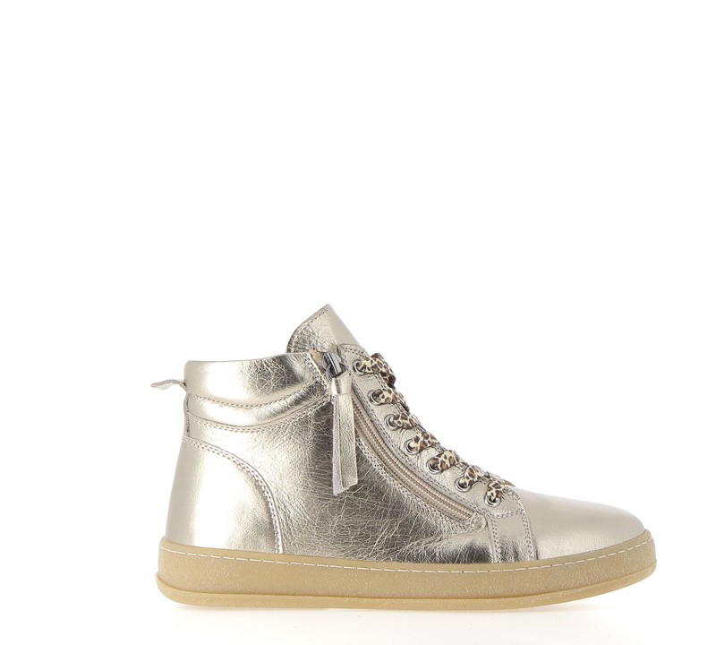 v3204e-champagne