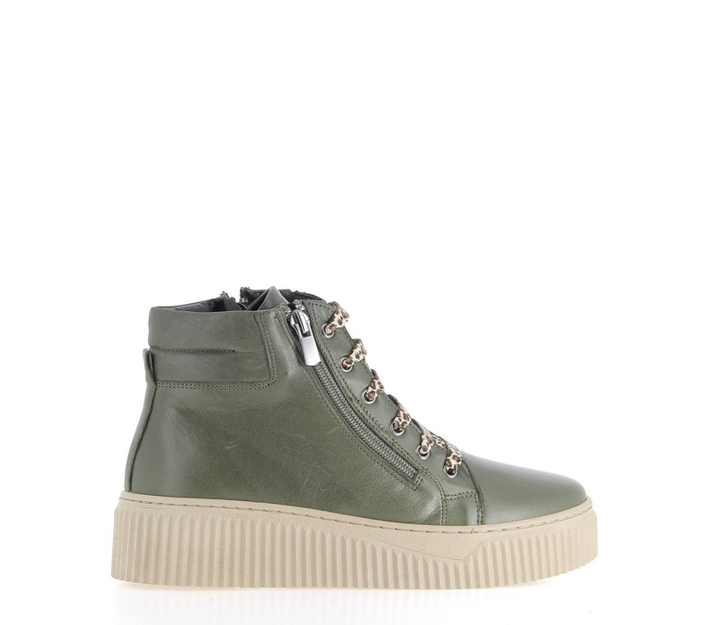 v3230a-olive