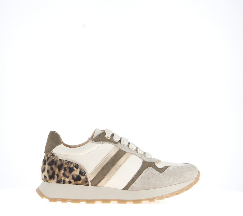 v3253r-beige