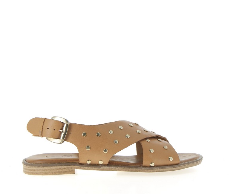 v3360a-coconut