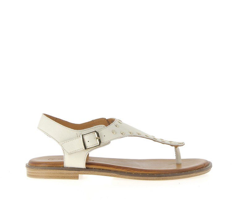 v3362a-creme