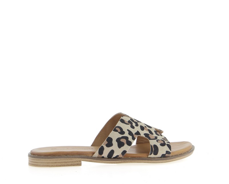 v3366h-beige